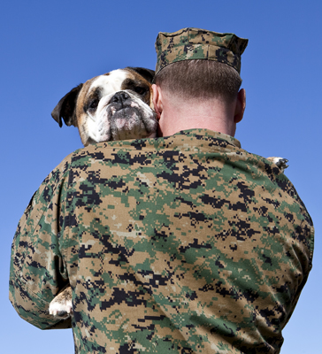 Military Pet Relocation