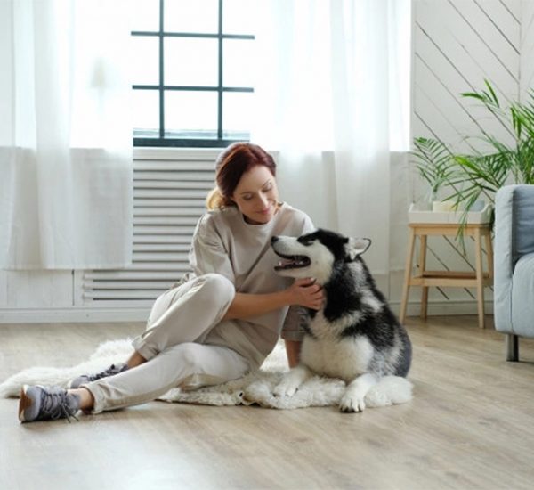 Pet Rehoming Pet Pros Services