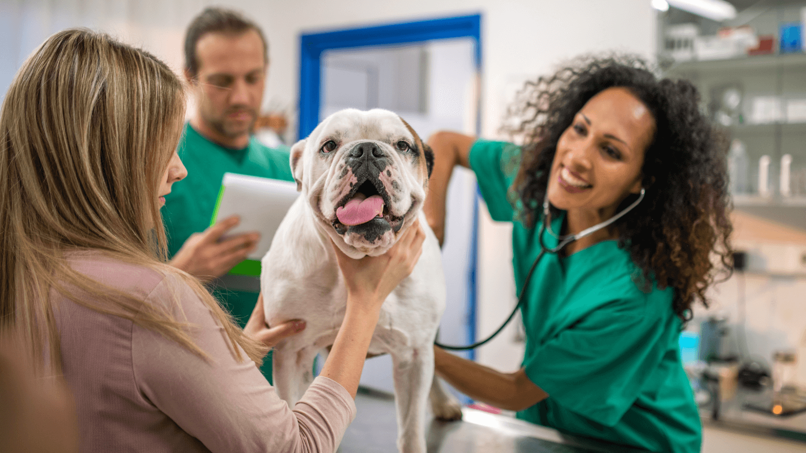 6 Tips to Prevent Parvovirus in Dogs