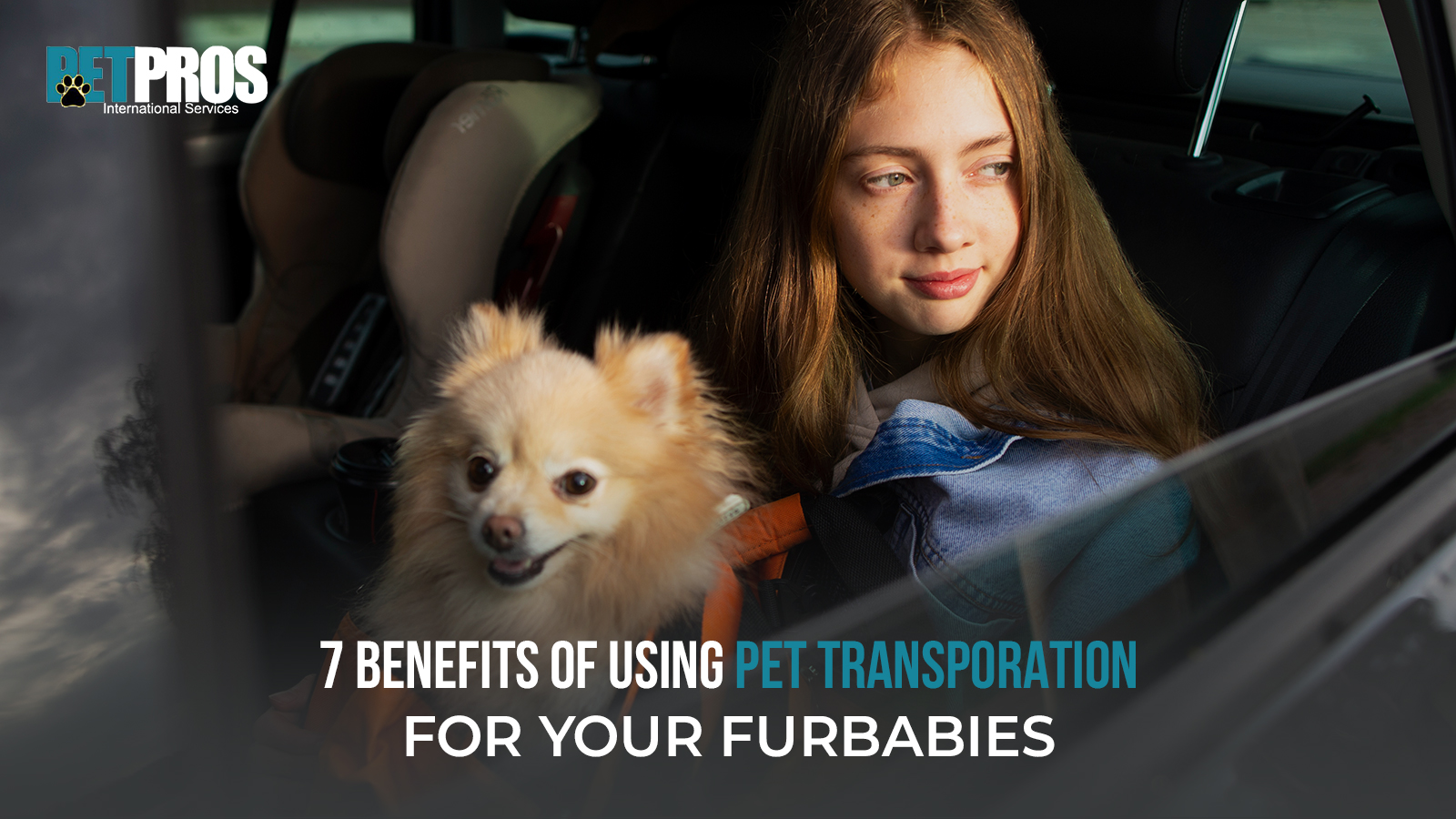 Pet Pross Service7 Benefits of Using Pet Transporation for Your Furbabies