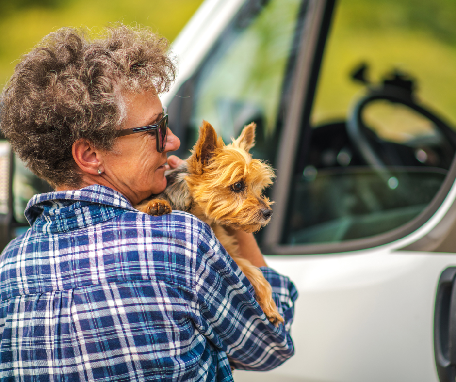 The Benefits of Hiring a Professional Pet Sitter for Your Next Vacation