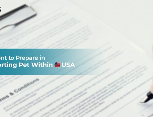 Document To Prepare In Transporting Pet Within USA