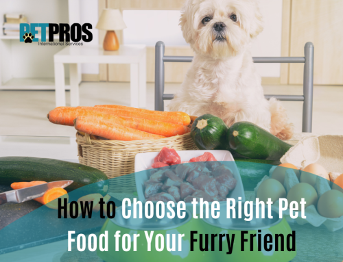How to Choose the Right Pet Food for Your Furry Friend