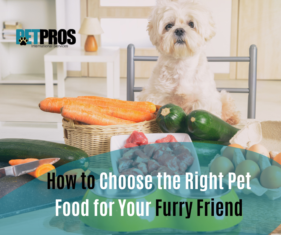 How to Choose the Right Pet Food for Your Furry Friend