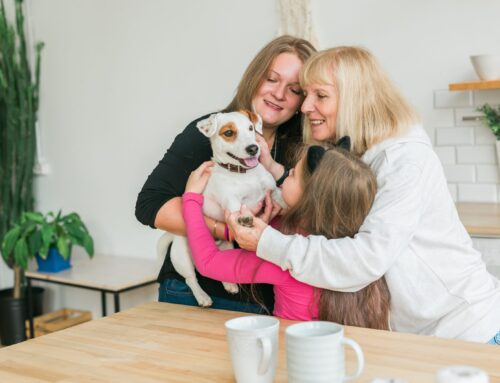 Heartfelt Rehoming: A Compassionate Journey with Pet Pros Services